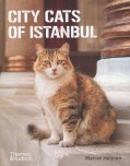 City Cats of Istanbul